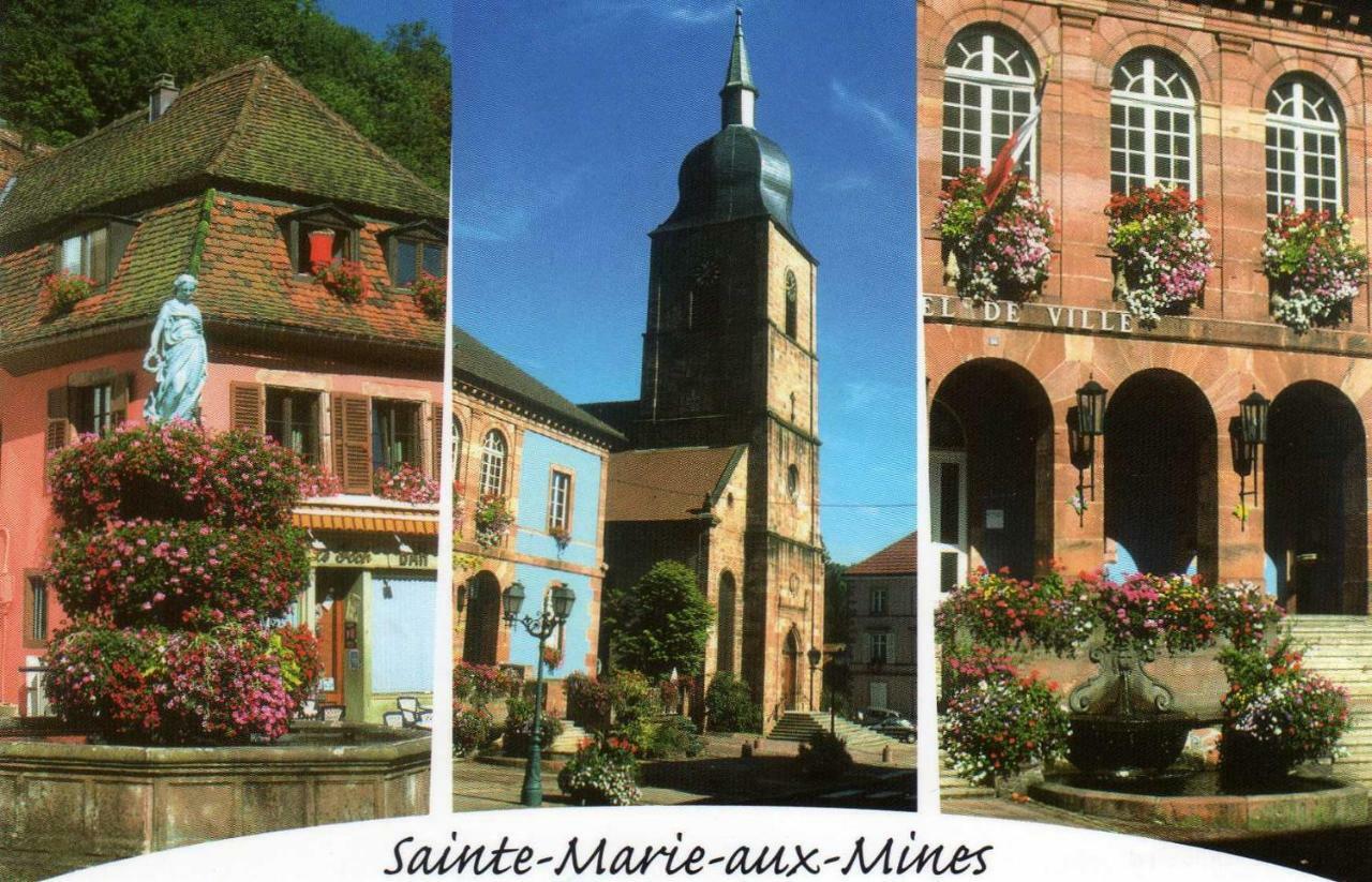 Les Hortensias Sainte-Marie-aux-Mines Buitenkant foto