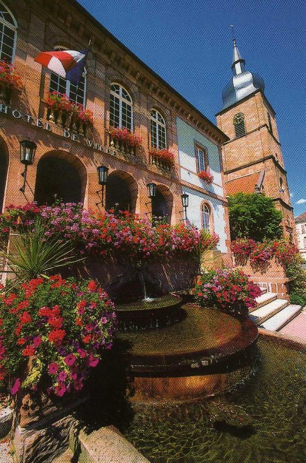 Les Hortensias Sainte-Marie-aux-Mines Buitenkant foto